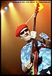 Captain Sensible