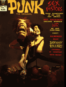 PUNK  Volume 1 Number 14